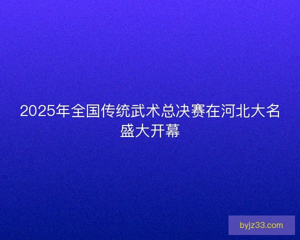 2025年全国传统武术总决赛在河北大名盛大开幕
